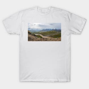 Denali Panorama 2 T-Shirt